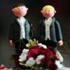 Deal rescues gay marriage bill
