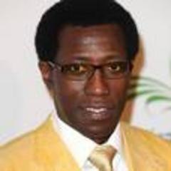 snipes and seagal for expendables 3