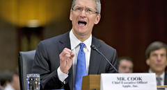 Apple's Low Tax Rate Not Our Fault, Ireland Says