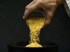 Washington & Wall Street ' Goldbugs, Inflation Hawks & Growth