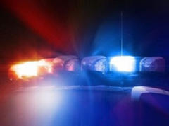 Job Fair at Outlet Mall; Father, Kids Hospitalized After Dog Attack