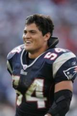 fans elect tedy bruschi to new england patriots hall of fame