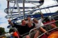 exotic animals and  food  lined up for  big one carnival in park