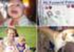 Oklahoma Tornado: Lost And Found Pages Set Up