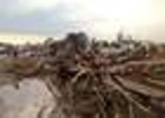Oklahoma Tornado: US 'Opens Homes And Hearts'