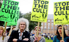 Brian May labels The Voice 'the ultimate insult to music'